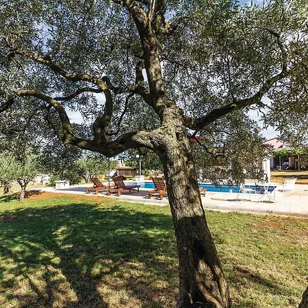 Apartamento Peroj Ii *